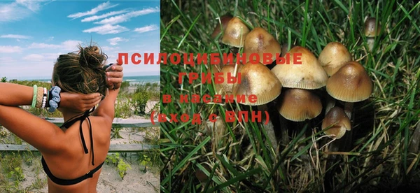 спиды Каменка