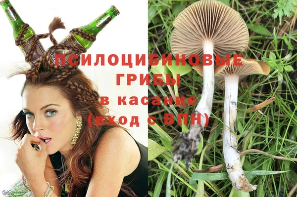 спиды Каменка