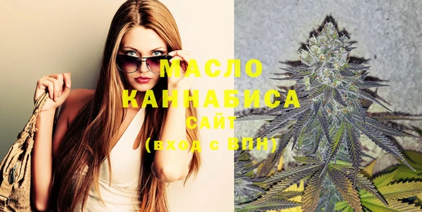 спиды Каменка