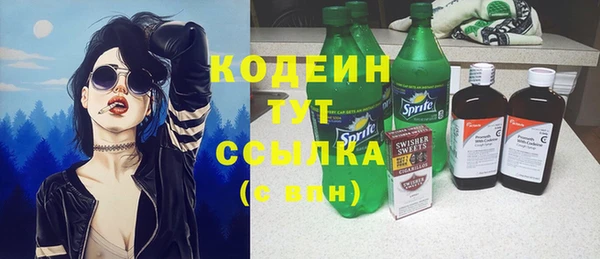 спиды Каменка