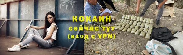 спиды Каменка