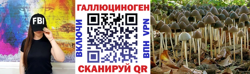 Купить  Барабинск  Галлюциногенные грибы ЛСД 